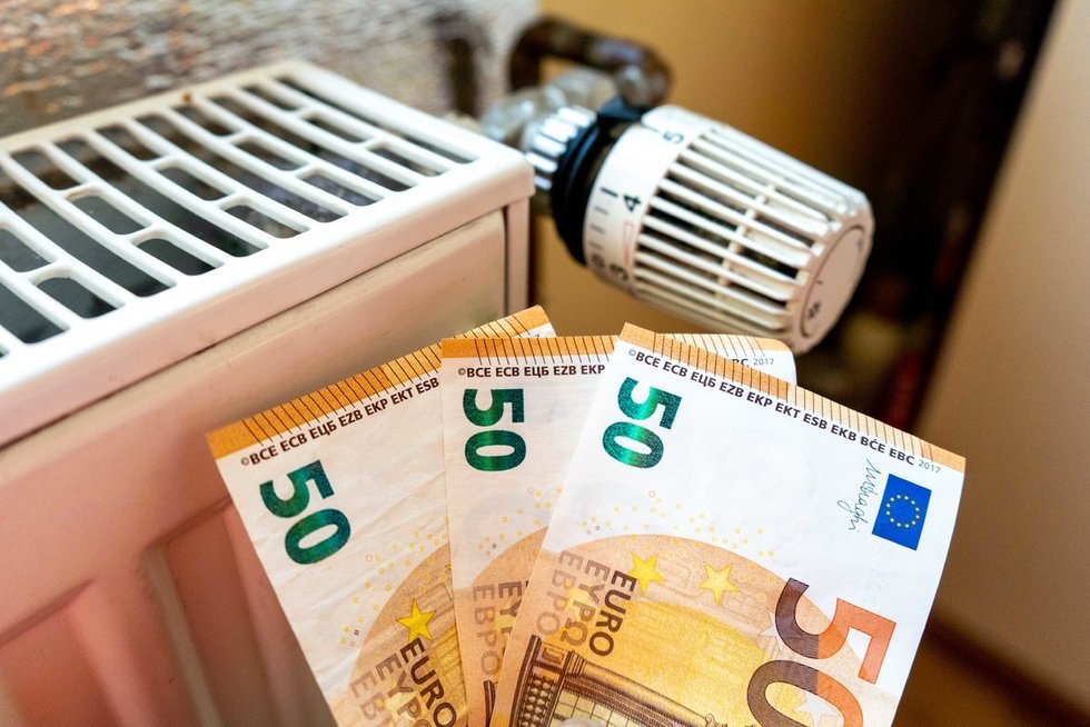 Eurai, pinigai (Fotodiena/ Viltė Domkutė)